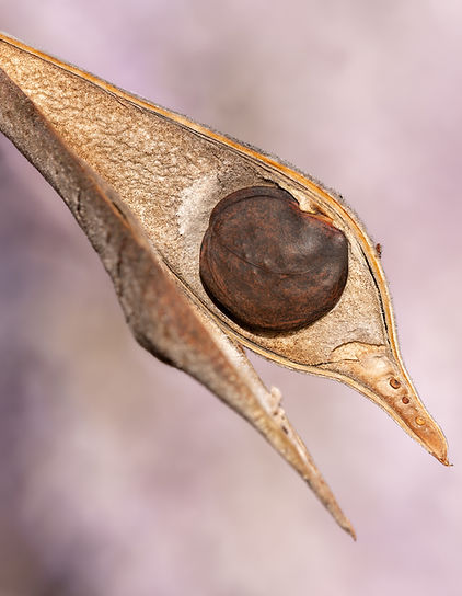 By Jules Verne Times Two - Own workhttp://julesvernex2.com, CC BY-SA 4.0, https://commons.wikimedia.org/w/index.php?curid=151