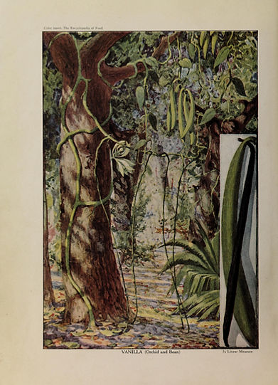 By Artemas Ward - Internet Archive identifier: encyclopediaoffo00ward, Public Domain, https://commons.wikimedia.org/w/index.p