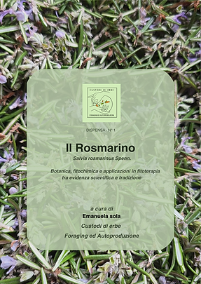Rosmarino_Dispensa_Custodi_di_Erbe-