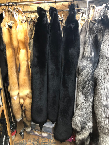 Ranch Fox, dyed black, Pelts size: XXL | AMBERS LEATHER CREATIONS