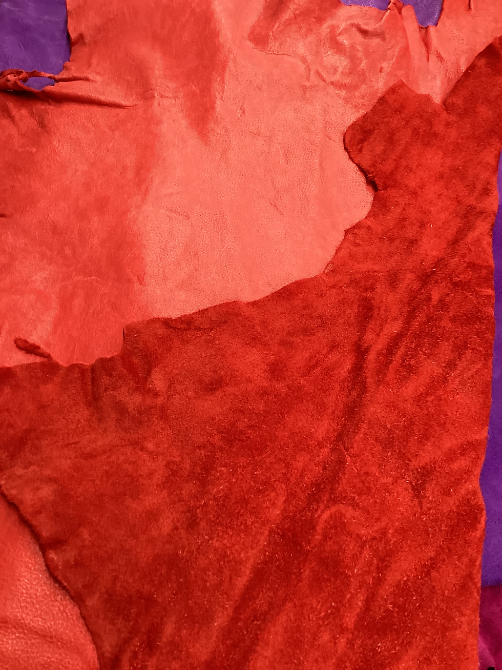Thumbnail: Moose White & Coloured  Hides