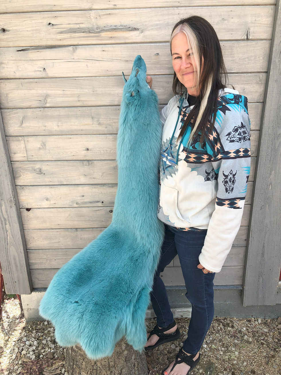 Miniature : Shadow Fox