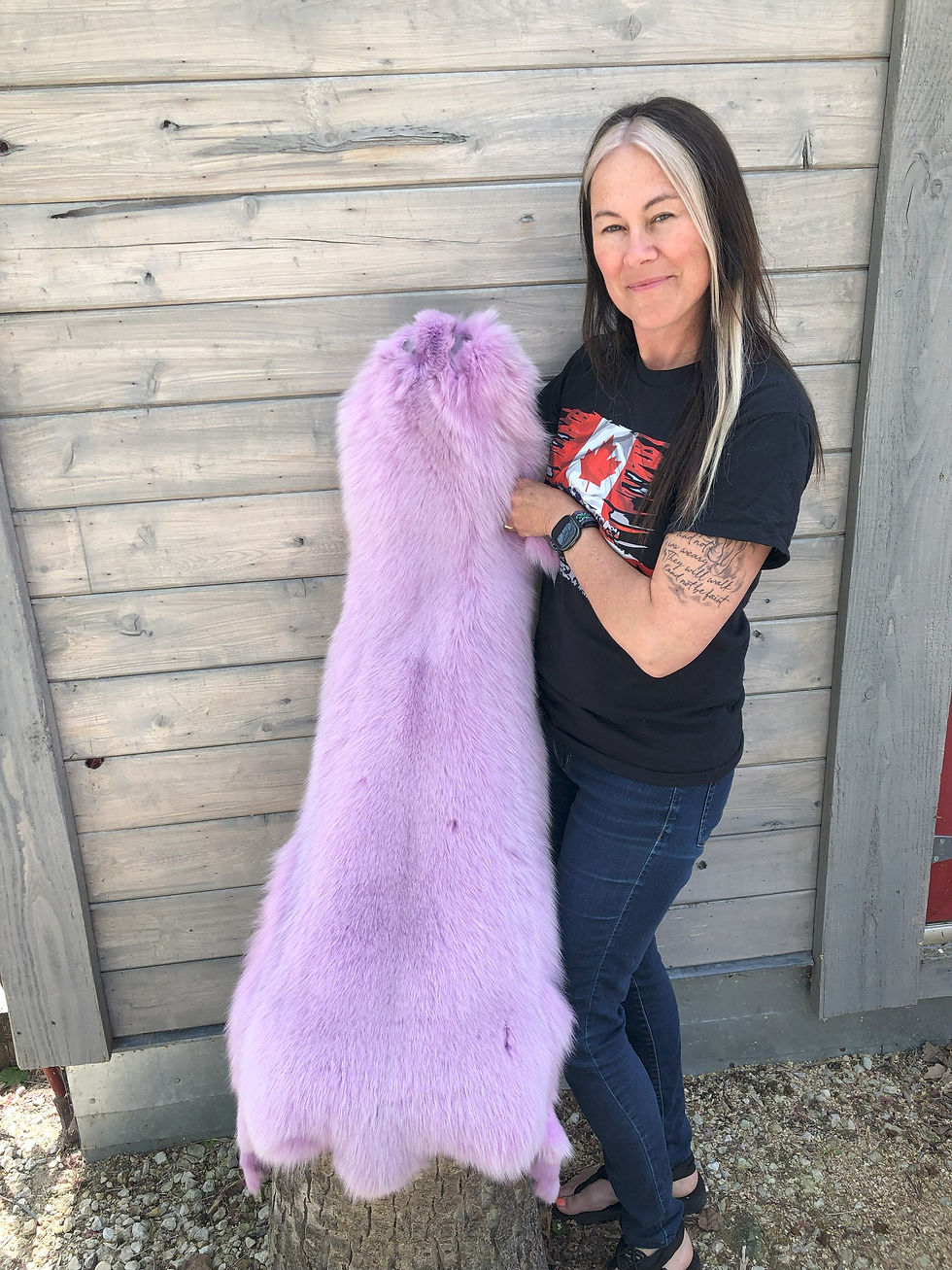 Miniature : Shadow Fox