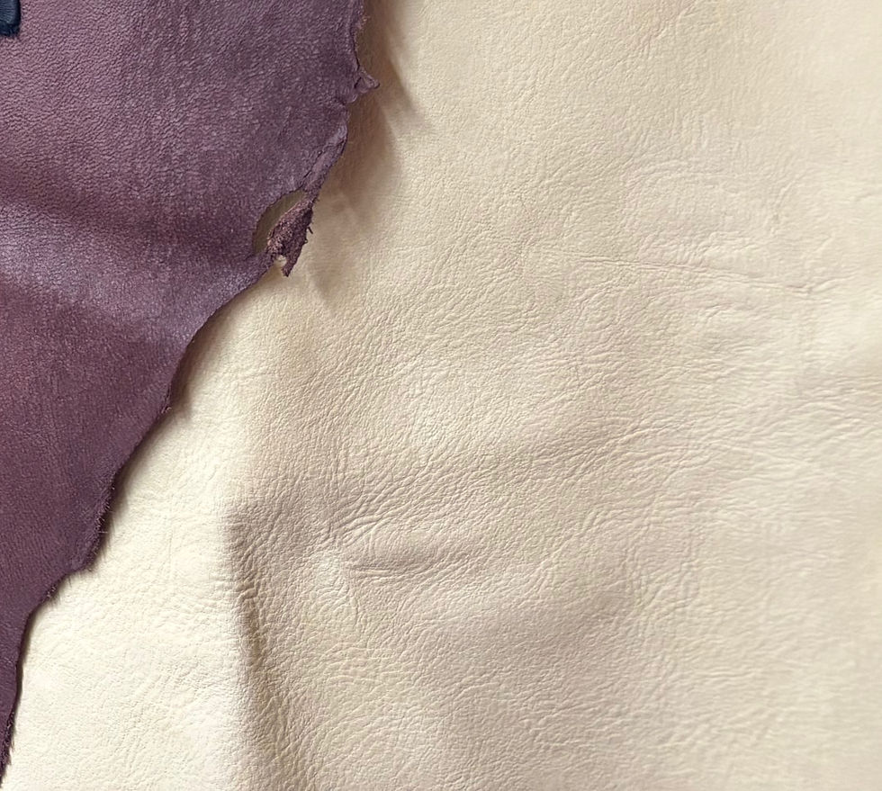 Thumbnail: Moose Natural & Coloured  Hides