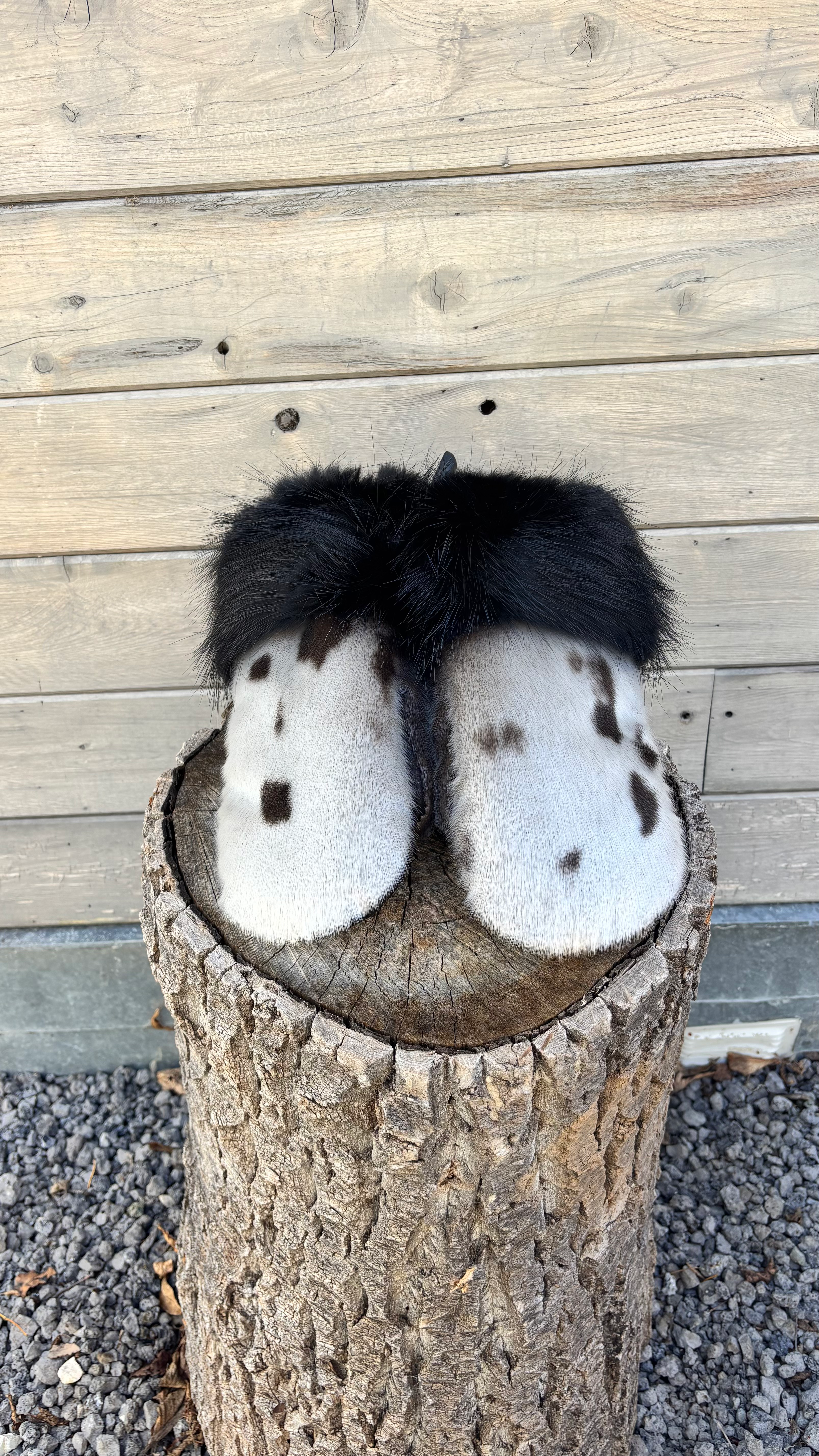 Seal skin dyed black beaver back view