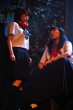 桃尻犬　キャンベラに哭く