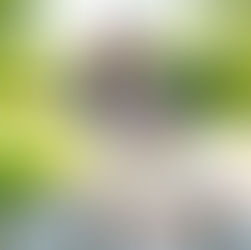 Preventing Falls at Home: 7 Essential Safety Tips for Seniors