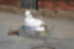 Public Performance / Spectacle