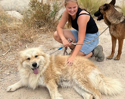 Geadopteerde asielhond Osa