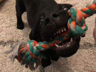 Play With Me!!!!
