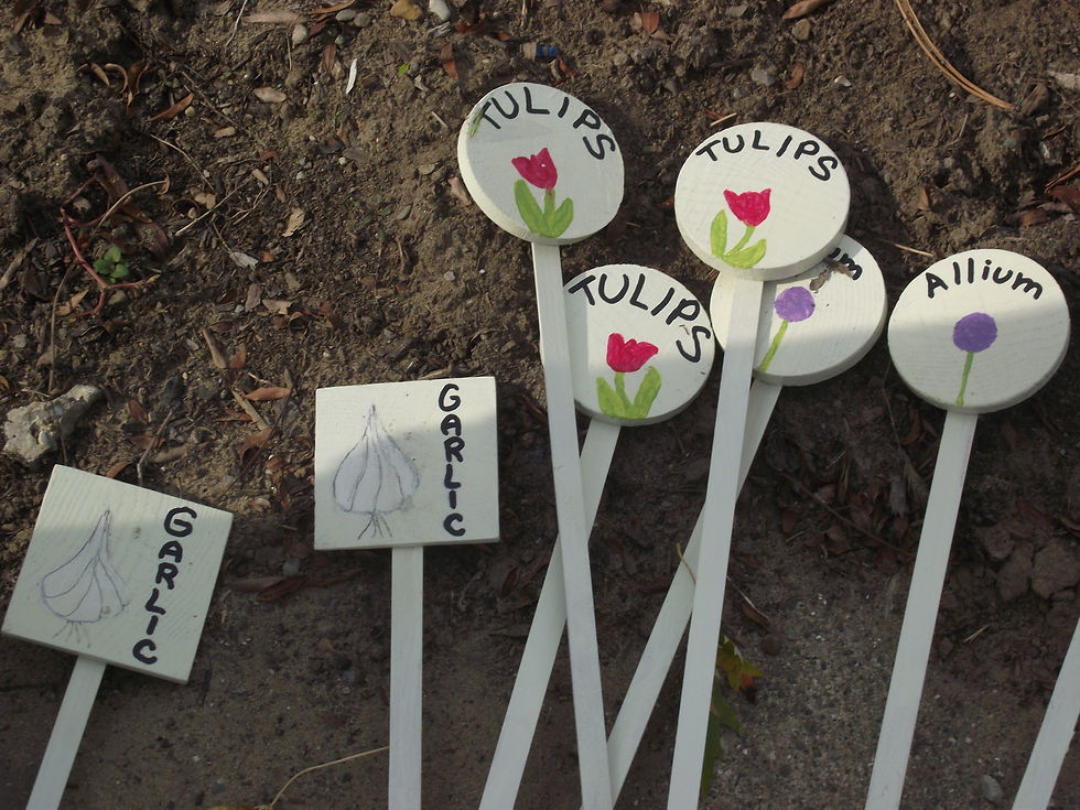DSMSU Wayne 4-H Markers.JPG