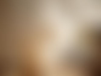 Design in Motion — Mid-Century Modern Balance Through Shape and Space