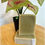 Thumbnail: Seaweed Goat Milk Soap (4-5oz Bar)