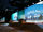Saphila 2017 experience