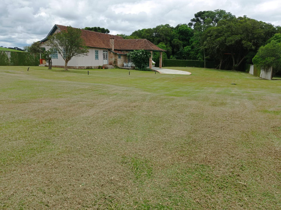 corte padrão americano