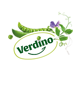 Verdino Logo.png