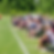 Parents on the Pitch