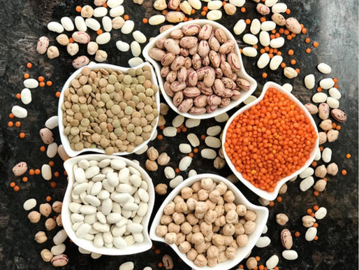 August 2021 Newsletter: Eat Your Fiber!