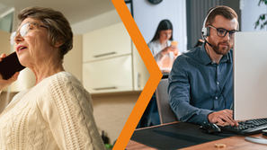 Translation Services in the Public Sector: Lessons from the Welsh Language Challenge