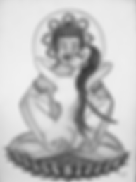 pasted image 0 (2).png
