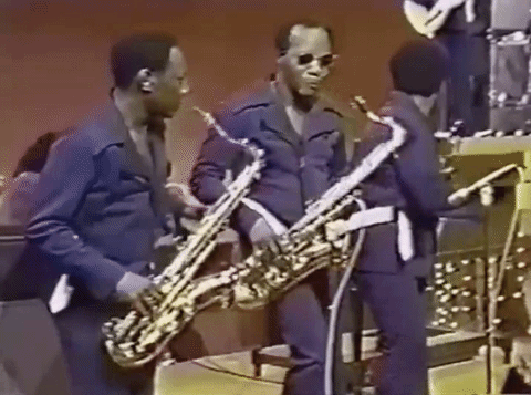 giphy (7).gif