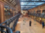 Medicine History Museum in Paris
