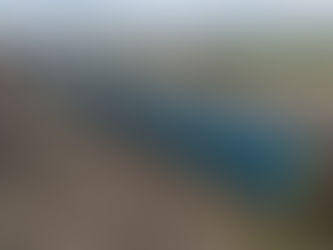 ACMU Launch Project 300!