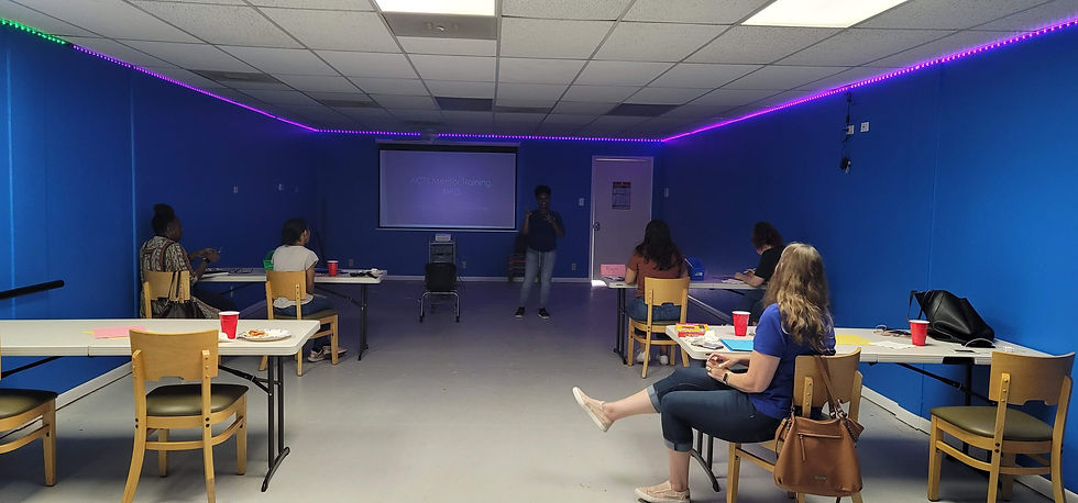 New Mentor Training