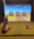 Sim Pic_edited_edited.jpg