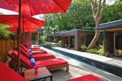 white palms nosara Yoga surf Bodhi Tree Guilded iguana paddle board boutique hotel yoga retreat surf retreat SUP surfing