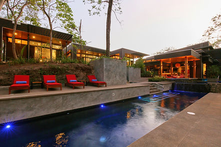 white palms nosara Yoga surf Bodhi Tree Guilded iguana paddle board boutique hotel yoga retreat surf retreat SUP surfing