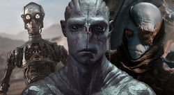 6XREYMPXNJBZLOCIP2LR44BKMU