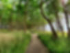 image00002.jpeg