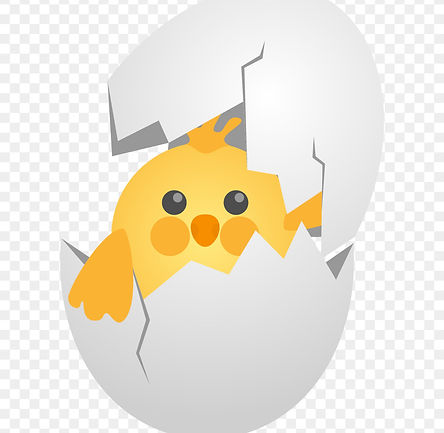 kisspng-chicken-egg-eggshell-cute-cartoon-chick-egg-shell-eggs-broken-shell-5a93deced29fe2