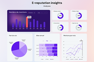 E-reputation insights (1).png