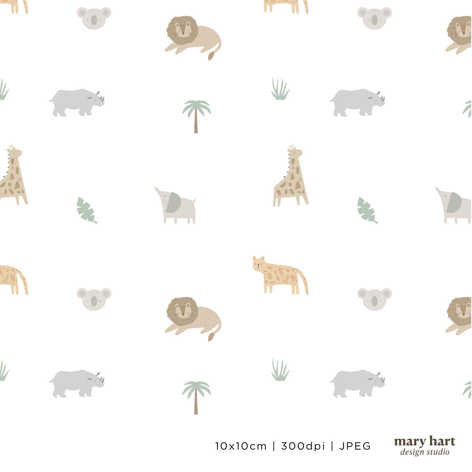 Little Safari