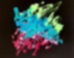 20190326_160420 (1)