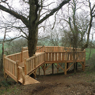 ForestPlatformentrance..jpeg