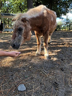 d019825e-7cf1-4950-bb5f-2654f192e902.jpeg