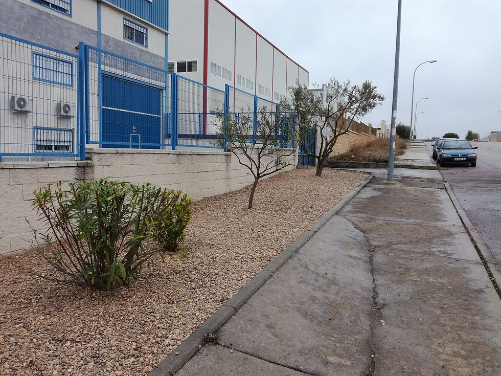 Renovación de nave Industrial