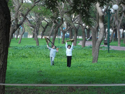 DSCF0251.JPG