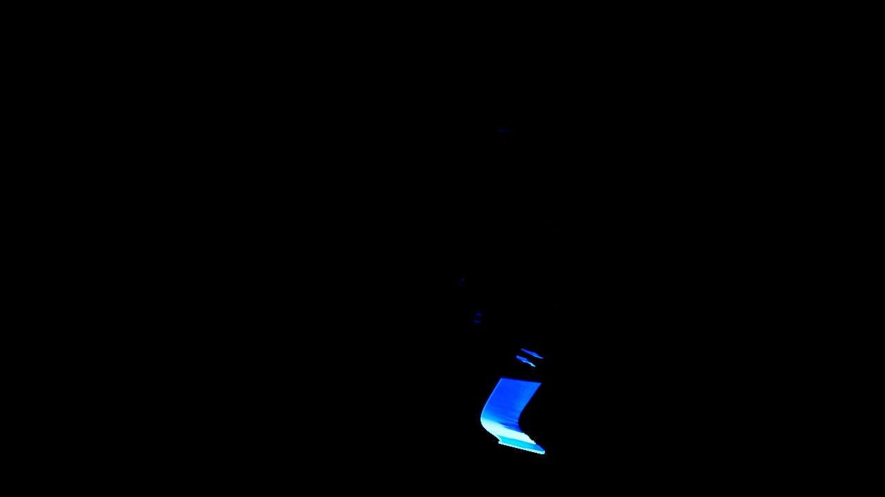 aniseed3.gif