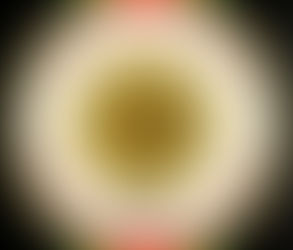 በአማራ ፋኖ ሕዝባዊ ንቅናቄ (አፋብን) አመሠራረት ላይ የአንድነት ለአማራ ኅልውና (አንድነት) አቋም