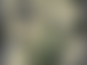 #0062 Mossy