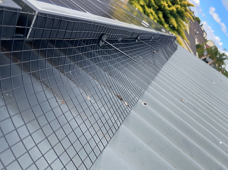 Bird proofing solar panels in Salisbury – family-safe mesh installation by Werner at House Care Pest Control, preventing damage and pests without chemicals