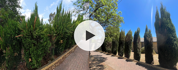 tree trimming video link done in Paradise SA
