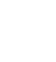 新芽