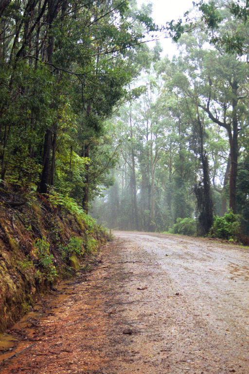 Old Australian rd.