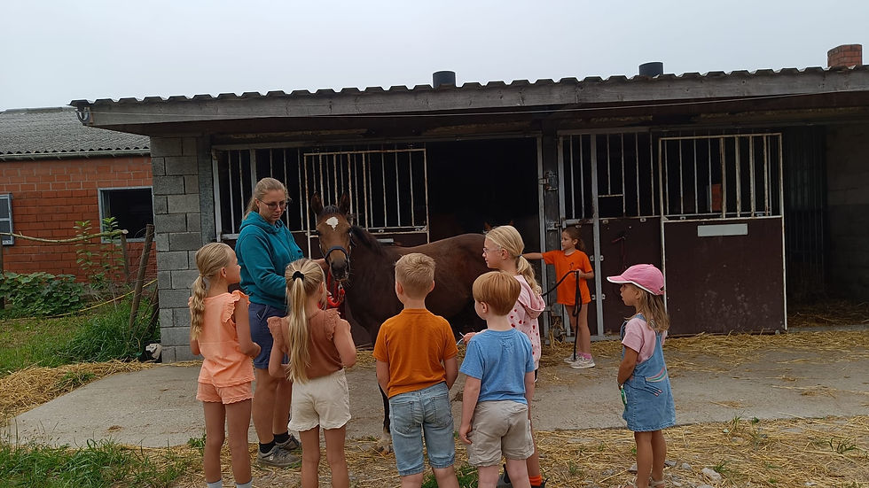 5122a1a0-ef53-4734-8d04-98c7dd886e14