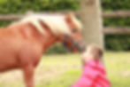 G-SPORT boerderijkamp 2026 – Sweet Horses